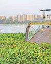NGT forms joint committee to look into residents’ grievances about Powai Lake9