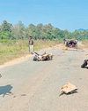 After yrs of violence, two Bastar districts free of LWE menace