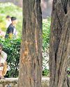 E Delhi park remains poorly lit, lacks CCTVS E Delhi park remains poorly lit, lacks CCTVS33
