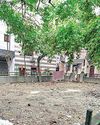 Amid staff shortage, MCD to outsource upkeep of parks Amid staff shortage, MCD to outsource upkeep of parks11