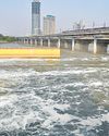 Ahead of Chhath, govt vows to stop Yamuna froth with chemicals, boats20