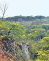 Before row, work began to map Aravalli by new rule2