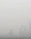 Unusual March fog, haze blanket NCR amid soaring temperatures19