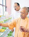 Grow additional third crop for higher income: CM to farmers17