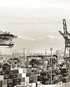 Unravelling of President Trump’s tariff strategy3