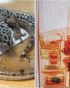 Bid to smuggle live leopard gecko foiled at airfreight centre14