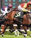 SUPER IMPACT RETURNS TO NZ15