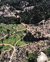 World far off track on pledges to end deforestation by 2030: Report9