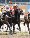 SCOUT SHOWS THE WAY FOR IN-FORM PACIFIC STABLE16
