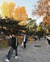 China reports warmest autumn since records began