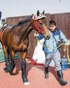 ROMANTIC WARRIOR ARRIVES IN DUBAI