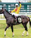 LUCKY MAGIC WINS PENANG GOLD