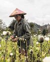 Drugs, Scams, and Sin Myanmar's War Has Made It the Global Crime Capital