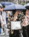 2024 The Hottest Year For Japanese