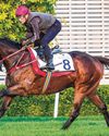 Romantic Warrior Gears Up for First Dubai Outing