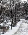 Canadians Revel in Rare Major Snow Storm