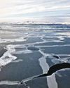 India Ramps Up Scientific Missions to Arctic as Global Players Jockey for Influence India Ramps Up Scientific Missions to Arctic as Global Players Jockey for Influence16