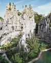 At Rainforest Wild Asia, learn about efforts to help at-risk species At Rainforest Wild Asia, learn about efforts to help at-risk species13