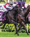 SEPALS READY TO BLOOM IN AUSSIE GUINEAS