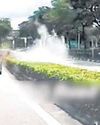 Driver killed in high-speed Porsche crash was director of food firm Driver killed in high-speed Porsche crash was director of food firm