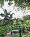 Here's what botanic gardens can do to keep up with the biodiversity crisis Here's what botanic gardens can do to keep up with the biodiversity crisis