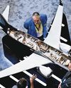 S'pore Hosts Business Aviation Expo as Asia-Pac Fleet Set to Soar S'pore Hosts Business Aviation Expo as Asia-Pac Fleet Set to Soar