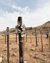 Lessons from a desert oasis Lessons from a desert oasis