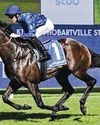 Broadsiding on Hot Randwick Guineas Trail