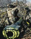 Putin said to be ready to agree to Ukraine truce with conditions Putin said to be ready to agree to Ukraine truce with conditions23