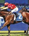 North England Bott's Best Fit to 3rd Slipper North England Bott's Best Fit to 3rd Slipper