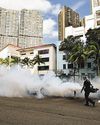 Biodiversity: Fogging Kills Not Only Mosquitoes Biodiversity: Fogging Kills Not Only Mosquitoes