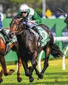 A Solo Slipper For Freedman A Solo Slipper For Freedman