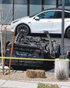 Teslas, eggs and executive orders: Trump scrambles the status quo Teslas, eggs and executive orders: Trump scrambles the status quo