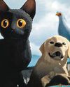 The Oscar-winning movie that pets cannot stop watching The Oscar-winning movie that pets cannot stop watching