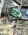NParks Investigating After Pond at Condo Drained With Live Fish Still Inside NParks Investigating After Pond at Condo Drained With Live Fish Still Inside28