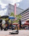 Heatwave response plan: A signal that Singapore should start taking heat seriously Heatwave response plan: A signal that Singapore should start taking heat seriously26