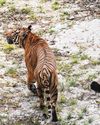 What S'pore is doing for S-E Asia's biodiversity What S'pore is doing for S-E Asia's biodiversity34