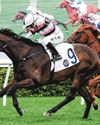 Chung Wins First Treble At Sha Tin Chung Wins First Treble At Sha Tin52