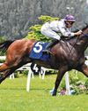 Lerner Back in Malaysia But for Longer This Time