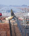 S. Korean airport was often warned about bird strikes before plane crash S. Korean airport was often warned about bird strikes before plane crash