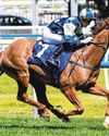 Jimmysstar Set To Shine In All Aged Jimmysstar Set To Shine In All Aged
