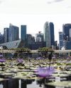 Singapore: A safe harbour in a turbulent world Singapore: A safe harbour in a turbulent world
