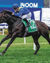 Bott Excited With Royal Patronage In Hong Kong Bott Excited With Royal Patronage In Hong Kong