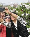 Peony power: China's unofficial national flower gives city a boost Peony power: China's unofficial national flower gives city a boost