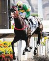'King of Dirt' Purton Lands Four-Timer 'King of Dirt' Purton Lands Four-Timer