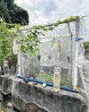 Letter of the day Community gardens for growing not only plants but also relationships Letter of the day Community gardens for growing not only plants but also relationships