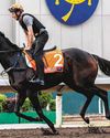 Williams Upbeat About Mr Brightside's HK Raid Williams Upbeat About Mr Brightside's HK Raid