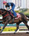 PATIENCE KEY TO LUCKY SWEYNESSE'S COMEBACK PATIENCE KEY TO LUCKY SWEYNESSE'S COMEBACK