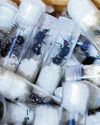 Kenya's Ant Smuggling Bust Exposes Lucrative Underground Trade Kenya's Ant Smuggling Bust Exposes Lucrative Underground Trade