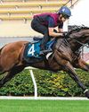 Prognosis Looks Up In QEII Cup Prognosis Looks Up In QEII Cup